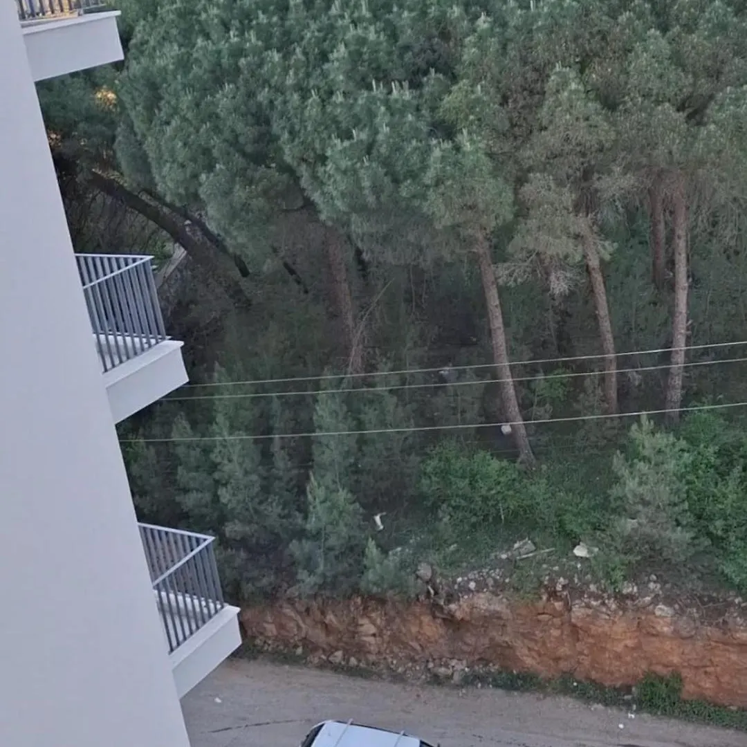 Apartamento Kleno Family Shëngjin 0*,  Albania